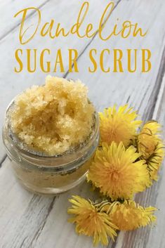 Turn those weeds in the yard into a DIY skincare product with this sunny DIY dandelion sugar scrub that helps soothe and rejuvenate the skin! Diy Dandelion, Natural Sugar Scrubs, Homemade Skincare, Scrub Diy, Herbal Remedies Recipes, Salve Recipes, Sugar Scrub Homemade, Sugar Scrub Recipe, Sugar Scrub Diy