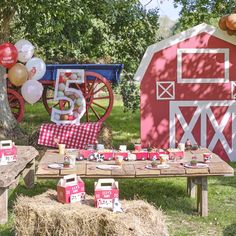 an outdoor picnic with hay bales, balloons and farm animals on the table in front of a red barn