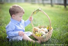 a little boy sitting in the grass with a basket full of stuffed animals