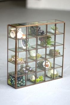 a display case filled with lots of different types of rocks and plants on top of a white surface