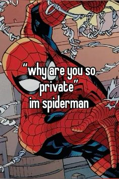 spider - man with the caption saying, why are you so private im spiderman?