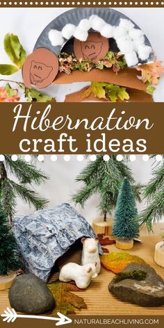 an image of a paper plate with trees and rocks in the background that says, hikenation craft ideas