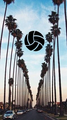 a street with palm trees and a volleyball ball in the middle on it's side