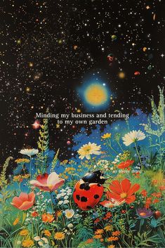 a ladybug sitting on top of a field of flowers under a sky filled with stars