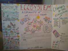 a bulletin board with several different types of things on it and the words ecosym written below