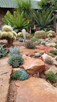 a garden filled with lots of different types of plants and rocks in front of a building