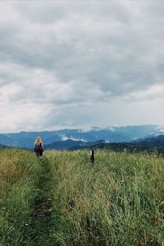 a person walking down a trail through tall grass