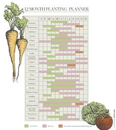 a poster with carrots and broccoli on it, including the names of each plant