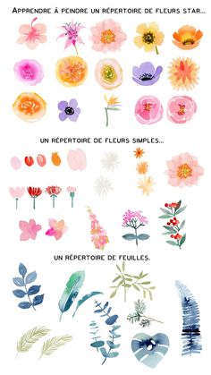 watercolor flowers are shown in different colors