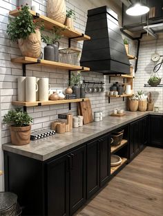 a kitchen with black cabinets and shelves filled with potted plants on top of them