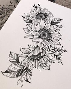 a drawing of sunflowers and leaves on paper