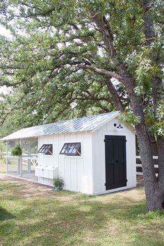 a small white shed sitting under a tree