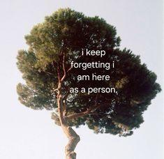 a tree with the words i keep forgeting i am here as a person