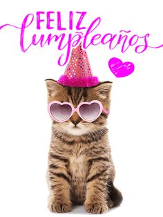 a kitten wearing sunglasses and a party hat with the words feliz cumplentos