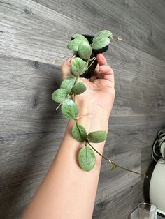 a person is holding a plant in their hand