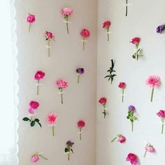 pink and purple flowers are arranged on the wall