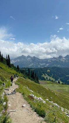 two people walking up a trail in the mountains with green grass and trees on both sides