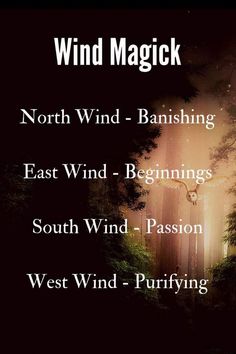 the words wind magic are in front of a dark background with an image of a forest