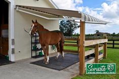 a brown horse standing on top of a black mat next to a wooden fence and white building