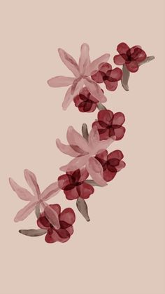 red flowers on a pink background