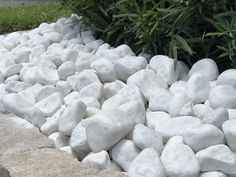 some white rocks and plants in the grass