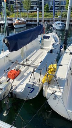 several sailboats are docked in the water