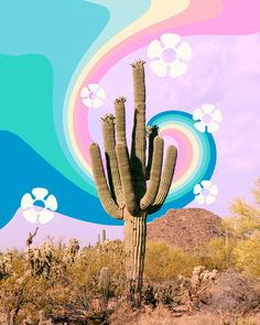 a large cactus in the middle of a desert with rainbows and clouds above it