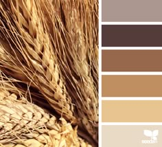 the color scheme is brown and beige, with wheat stalks in it's center