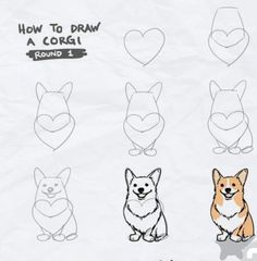 how to draw a corgi