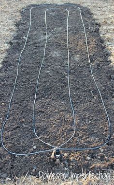 an image of a garden plot with plants growing in the ground and wires attached to it