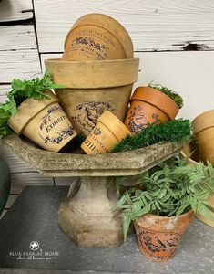 several pots with plants growing out of them