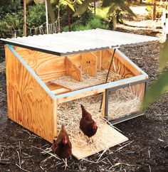 two chickens in a small coop on the ground