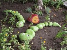 the garden is filled with green plants and small rocks that look like caterpillars