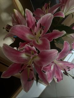 some pink flowers are in a glass vase