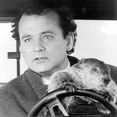 a man driving a car with an animal on the steering wheel in front of him