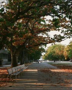 an empty park bench under trees with leaves on the ground and people walking in the distance