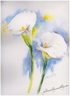 two white flowers are shown in this watercolor painting