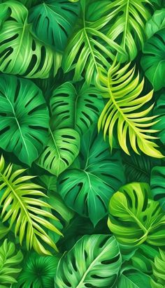 an image of green tropical leaves