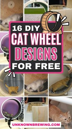 Indoor Cat Room Ideas Diy, Diy Cat Wheel, Catio Patio, Cat Walls, Cat Room Diy, Kitty Treats, Cat Diy Crafts, Cat Wheel, Cat Exercise Wheel