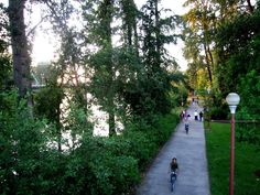 two people riding bikes down a path in the woods next to some water and trees