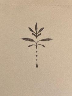 a drawing of a plant with drops of water