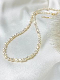 Elegant & minimalist: our pearl necklace is made of small rice grain-shaped freshwater cultured pearls, each individual pearl has its unique shape and a silky shimmer, which makes the piece of jewelry an interesting eye-catcher. Combine the pearl necklace with another gold necklace for the perfect layered look. The piece of jewelry will be shipped in an elegant jewelry box. PRODUCT INFO Pearls: Freshwater cultured pearl, rice-shaped approx. 4-5 x 5 mm, natural white Carabiner and extension chain Oval Pearl Necklace Gift, Oval Pearl Necklace As Gift, Oval Pearl Necklace For Gift, Pearl White Oval Beads Pearl Necklace, Elegant Pearl White Necklace With Oval Beads, White Oval Pearl Necklace, Dainty White Pear-shaped Pearl Necklace, Pearl Necklaces With Oval Beads For Gifts, Pearl White Oval Beads Pearl Necklace For Gift