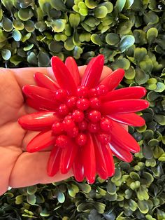 Beautiful Pin.  Perfect to wear or display. Plastic Flower, Jewelry Beautiful, Plastic Flowers, Flower Pins, Wedding Basket, Pin Brooch, Brooch Pin, Brooches, Porter