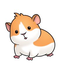 a brown and white hamster sitting on its hind legs