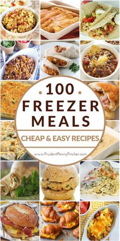 freezer meals that are easy to make and great for the whole family or friends