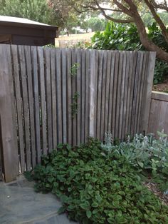 a wooden fence next to a lush green garden