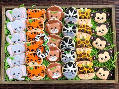 decorated cookies in the shape of animals and giraffes are arranged on grass