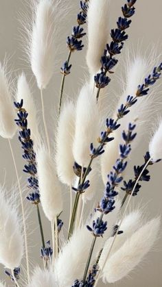 some white and blue flowers are in a vase