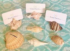 four seashells with place cards on them sitting on a blue and white table cloth