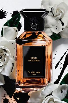 Cruel Gardénia by Guerlain is a Floral fragrance for women. Cruel Gardénia was launched in 2008. Cruel Gardénia was created by Randa Hammami and Sylvaine Delacourte. Top notes are Neroli, Rose and Peach; middle notes are Gardenia, Violet and Ylang-Ylang; base notes are Musk, Tonka Bean, Sandalwood and Vanille. Perfume Collection Aesthetic, Photography Perfume, Kate Spade Perfume, Organization Perfume, Aesthetic Perfume, Perfume Quotes, Collection Perfume, Body Perfume, Perfume Aesthetic